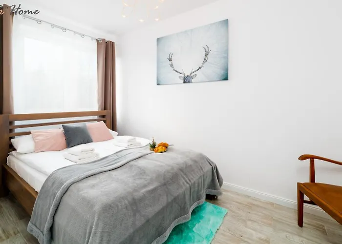 Appartement Wonder - W Malowniczej Okolicy, Z Balkonami I Widokiem Na Gory